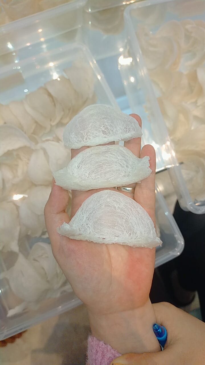 img-product-Sarang Walet 1